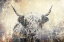 Picture of COW HIGHLAND ILLUSTRATION ART 04