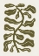 Picture of WIND KISSED PLANT  OLIVE GREEN