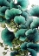 Picture of FLOWERS PLANT ART GINKO BILOBA