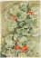 Picture of NASTURTIUM TAPESTRY