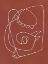 Picture of LINE ART BIRD ABSTRACT