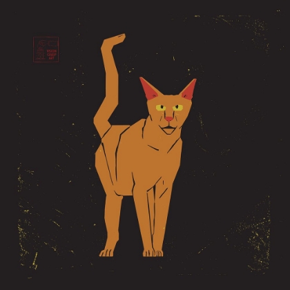 Picture of ORANGE CAT