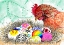 Picture of HAPPY EASTER. HEN AND EGGS INK AND WATERCOLOR PAINTING