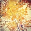 Picture of YELLOW AUTUMN BIRCH LEAVES