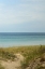 Picture of HORIZON