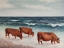 Picture of COWS OF A?STERLEN