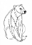 Picture of LINE BEAR