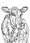 Picture of LINE COW