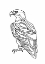 Picture of LINE EAGLE