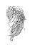 Picture of LINE FISH