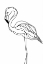 Picture of LINE FLAMINGO