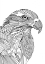 Picture of LINES ART EAGLE