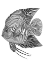 Picture of LINES ART FISH