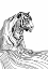 Picture of LINES ART TIGER