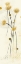 Picture of FLOWERS IN JAPANESE MOODS