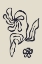 Picture of SKETCHY FLOWER POSTER 23