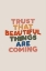 Picture of TRUST THAT BEAUTIFUL THINGS ARE COMING E5DCD3