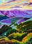 Picture of PURPLE MOUNTANS MAJESTY