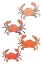 Picture of CRABS 1