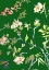 Picture of DINING ROOM WALLS 1.PNG