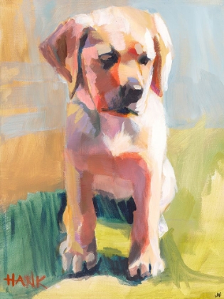 Picture of HANK