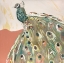Picture of PEACOCK SALMON