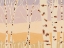 Picture of BIRCH FOREST LANDSCAPE PAINTING