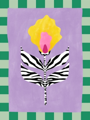Picture of 3X4 ASPECTRATIOMIXED26