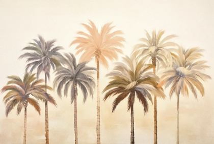 Picture of CALM OASIS
