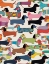 Picture of DACHSHUNDS