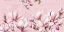 Picture of PINK MAGNOLIA