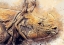 Picture of RHINOCEROS ANIMAL ART