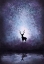 Picture of DEER IN MAGICAL FOREST