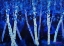 Picture of BIRCH TREES