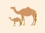 Picture of CAMEL MOTHER