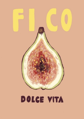 Picture of FICO  UP