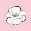 Picture of PINK BLOOM