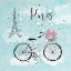 Picture of BLUE PARIS BIKE