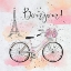 Picture of BONJOUR PARIS BIKE