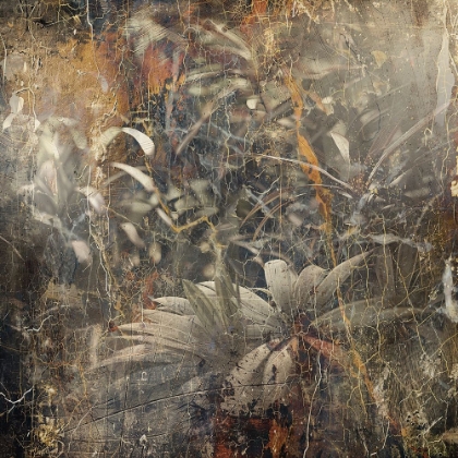 Picture of PLANTS LEAFS ART ILLUSTRATION 04