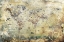 Picture of WORLD MAP ART ILLUSTRATION 03