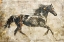 Picture of HORSE VINTAGE ART ILLUSTRATION 03