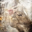 Picture of HORSE VINTAGE ART ILLUSTRATION 05