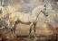 Picture of HORSE VINTAGE ART ILLUSTRATION 06