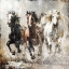 Picture of HORSE VINTAGE ART ILLUSTRATION 15