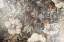 Picture of FLORAL VINTAGE ART ILLUSTRATION 10