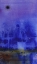 Picture of TWILIGHT