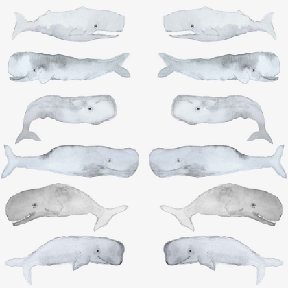 Picture of KIDS LINE WHALE ART COPY