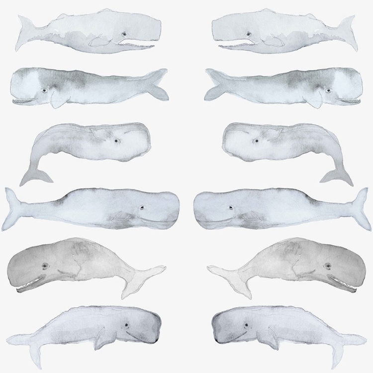 Picture of KIDS LINE WHALE ART COPY
