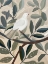 Picture of DOVE IN TREE